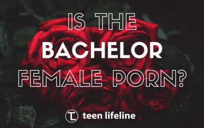 Is The Bachelor Female Porn?