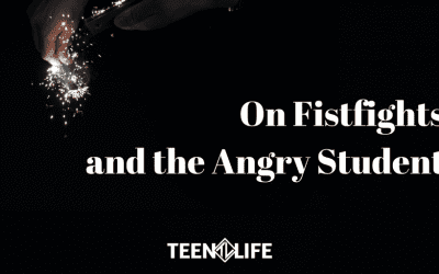 On Fistfights and the Angry Student