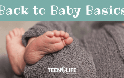 Back to Baby Basics