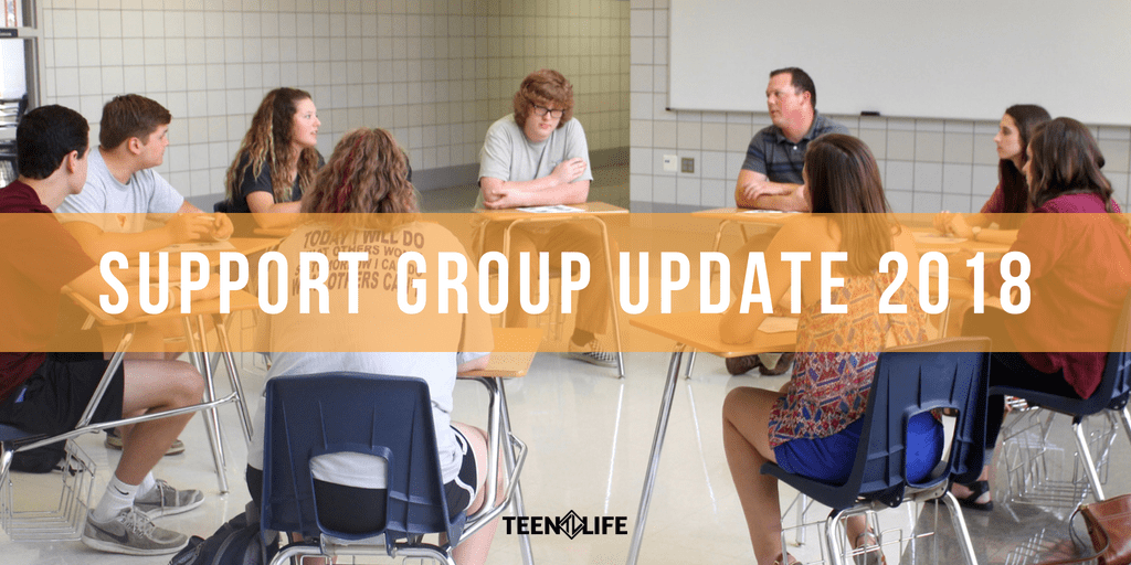 Support Group Update 2018
