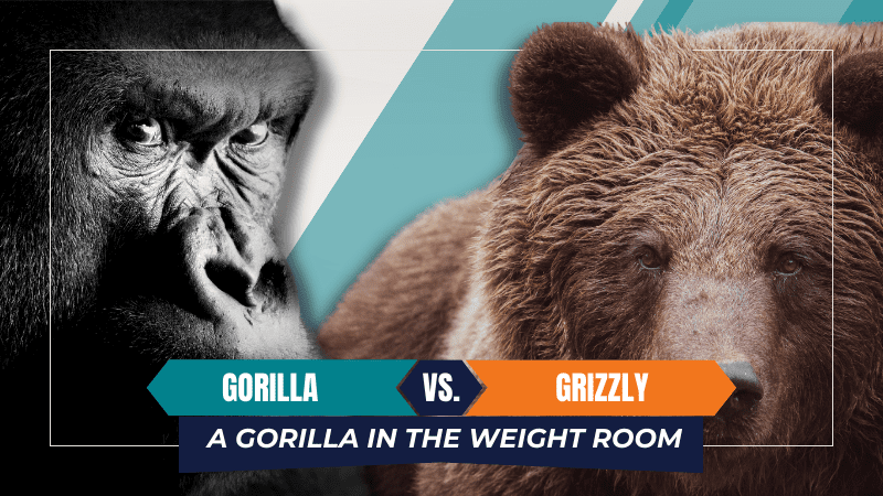 A gorilla and a grizzly bear